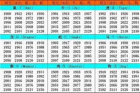 1995 屬|1995年1月出生属什么生肖